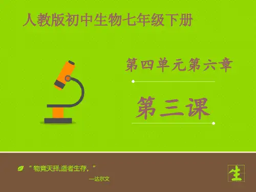 人教版生物七下4.6.3《神经调节的基本方式》课件(共19张PPT)