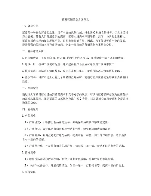 蓝莓营销策划方案范文