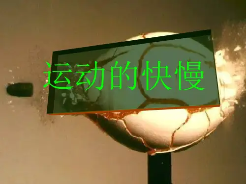 人教物理八年级上册第1章3运动的快慢