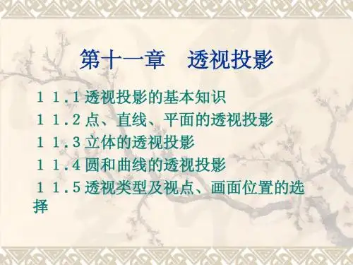第11章 透视投影