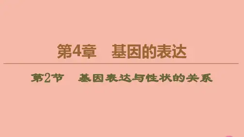 新教材高中生物第4章基因的表达第2节基因表达与性状的关系课件新人教版必修第二册