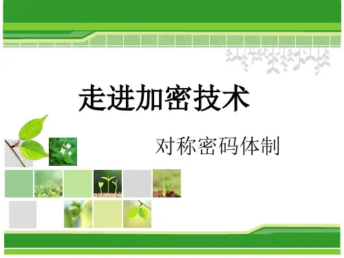 对称密码体制