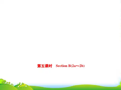人教版九年级英语Unit 8 Section B(2a～2b)课件