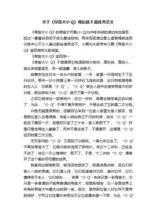 关于《导盲犬小Q》观后感5篇优秀范文