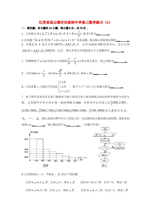 江苏省连云港市田家炳中学高三数学练习(4)