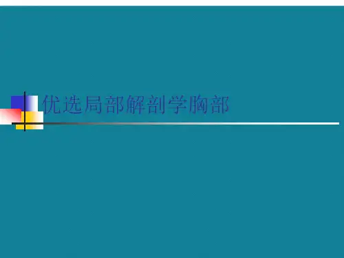 优选局部解剖学胸部