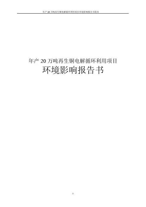 年产20万吨再生铜电解循环利用项目环境影响报告书