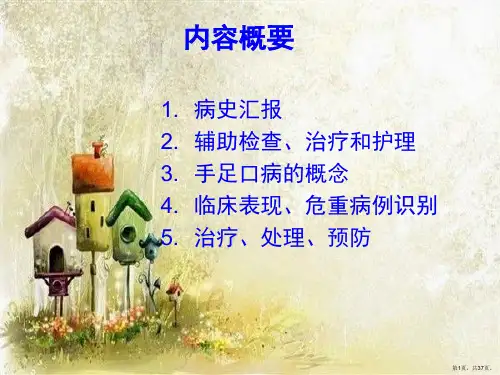 手足口病护理查房