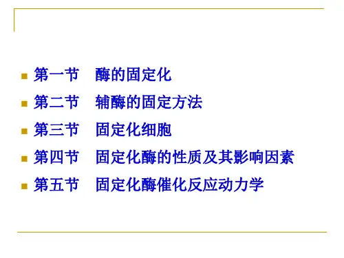 固定化酶