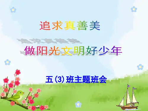 盘点-真善美-班会示范课件课件