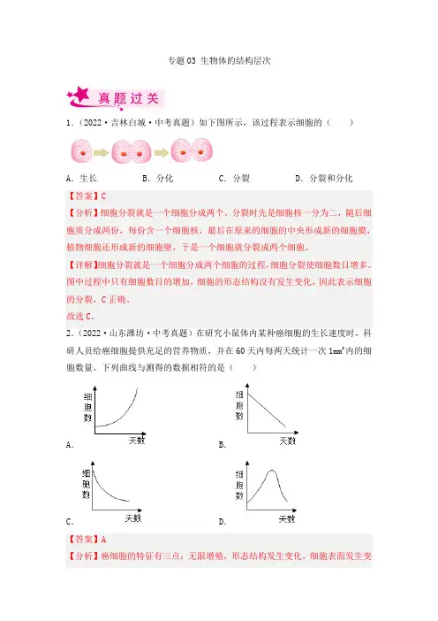2023年中考生物复习专题03 生物体的结构层次》考点训练(解析版)