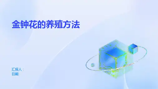 金钟花的养殖方法