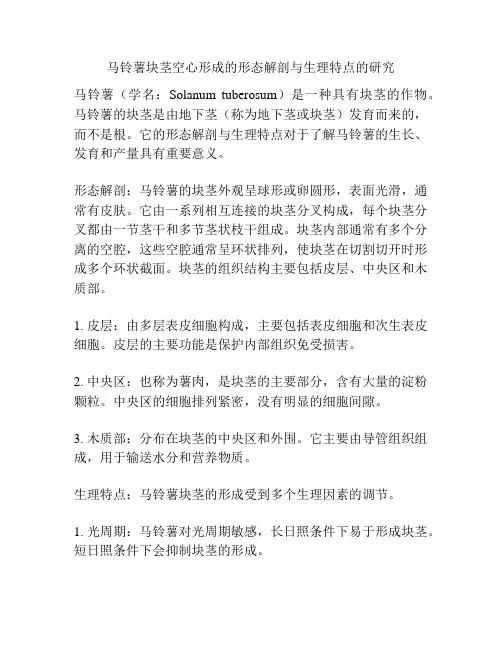 马铃薯块茎空心形成的形态解剖与生理特点的研究