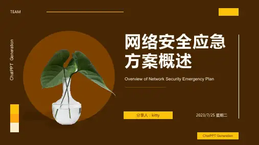 2023年某银行网络应急方案文档