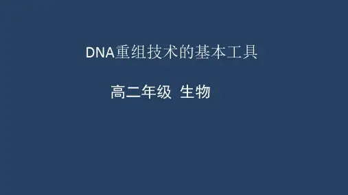 人教版高中生物选择性必修第3册 DNA重组技术的基本工具