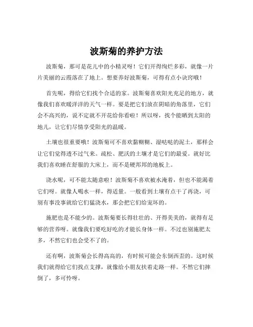 波斯菊的养护方法