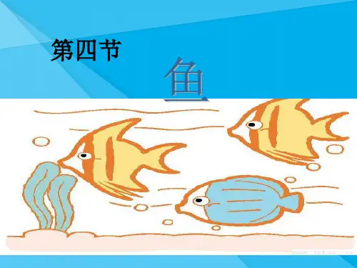 鱼PPT课件16 人教版优秀课件