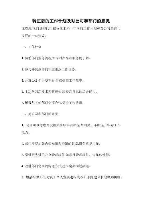 转正后的工作计划及对公司和部门的意见