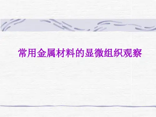 常用金属材料的显微组织观察