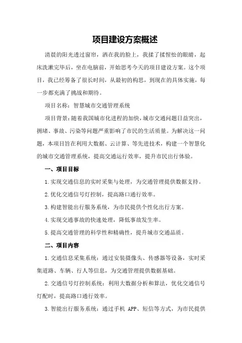 项目建设方案概述