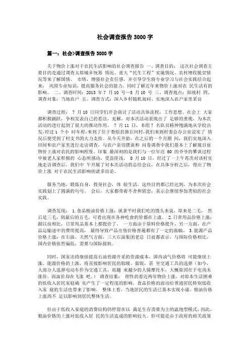 社会调查报告3000字