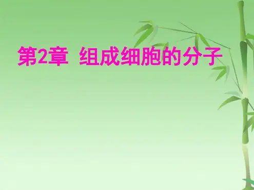 高中生物必修1复习课件(共161张PPT)