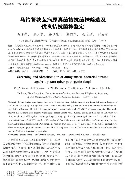 马铃薯块茎病原真菌拮抗菌株筛选及优良拮抗菌株鉴定