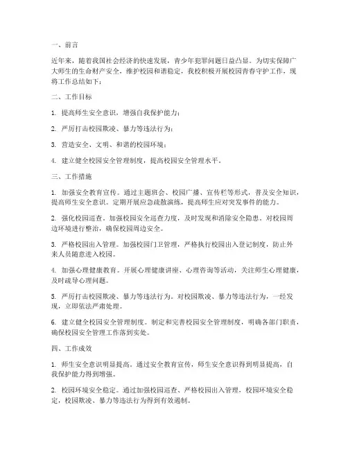 校园青春守护工作总结报告