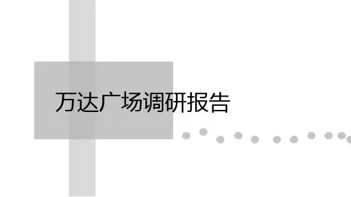 万达调研报告PPT课件