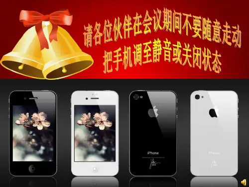 保险公司启动会流程课件