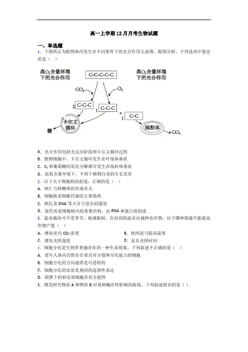 高一上学期12月月考生物试题