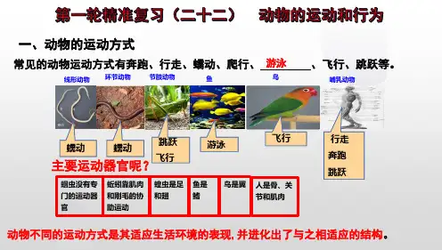 动物的运动和行为-中考生物一轮复习全考点通关