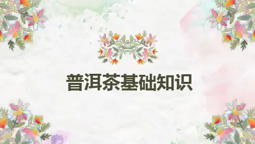普洱茶基础知识PPT(五)