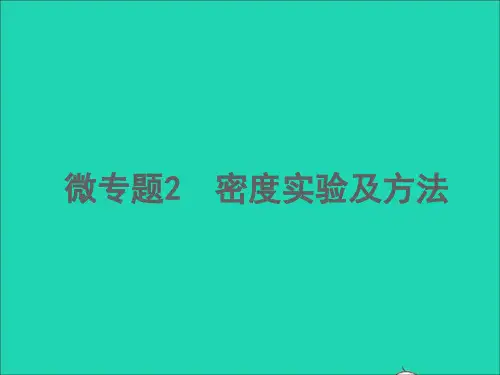 中考物理微专题2密度实验及方法精讲本课件