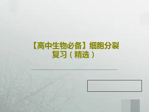 【高中生物必备】细胞分裂复习(精选)PPT共24页