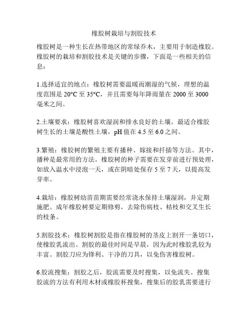 橡胶树栽培与割胶技术