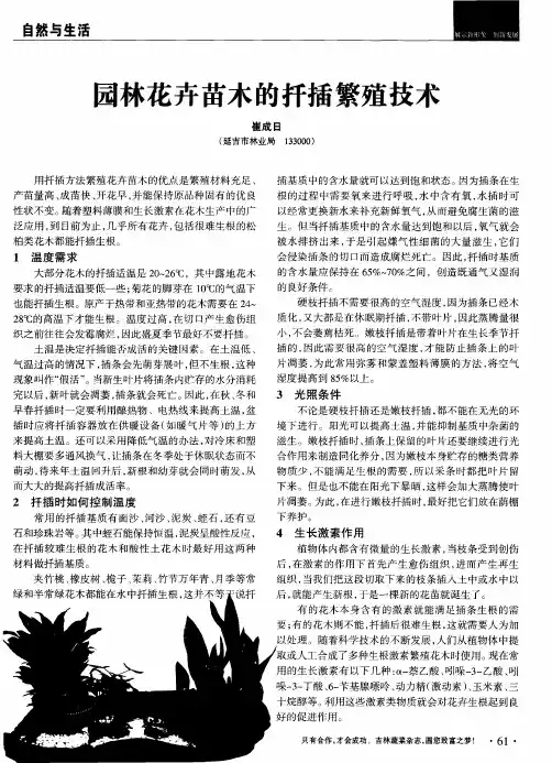 园林花卉苗木的扦插繁殖技术