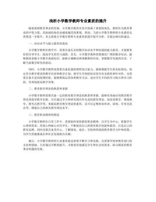 浅析小学数学教师专业素质的提升