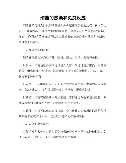 细菌的感染和免疫反应