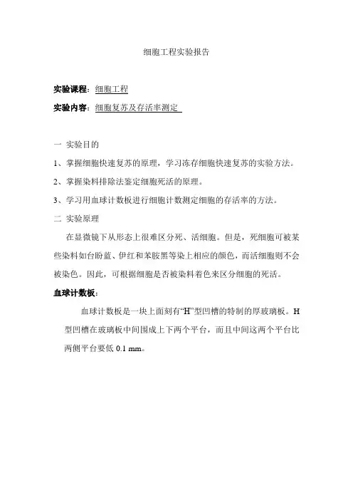 细胞复苏及存活率测定