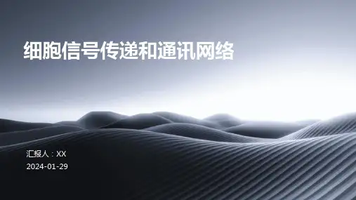 细胞信号传递和通讯网络