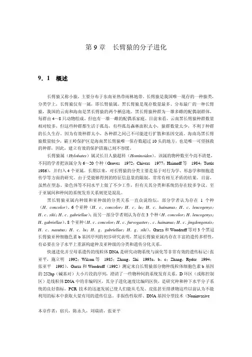 长臂猿的分子进化