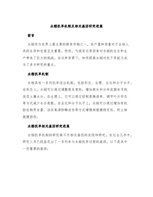 水稻抗旱机制及相关基因研究进展