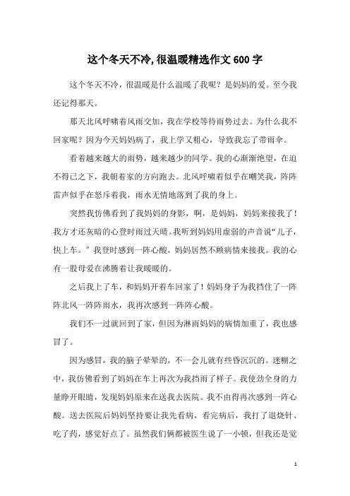 这个冬天不冷,很温暖精选作文600字