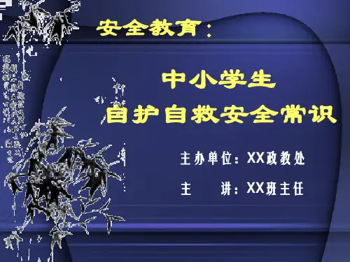 中小学生安全常识教育课件(图文)