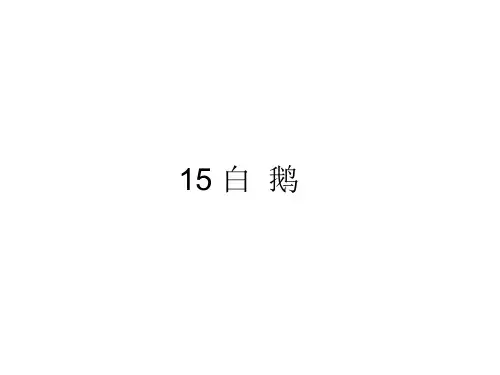 部编版语文四年级下册15白鹅课件(共38张PPT)
