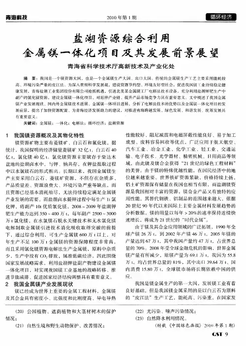 盐湖资源综合利用金属镁一体化项目及其发展前景展望