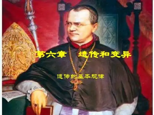 遗传的基本规律ppt2 优秀课件