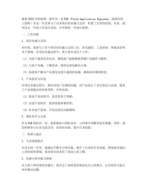 fae的年终总结