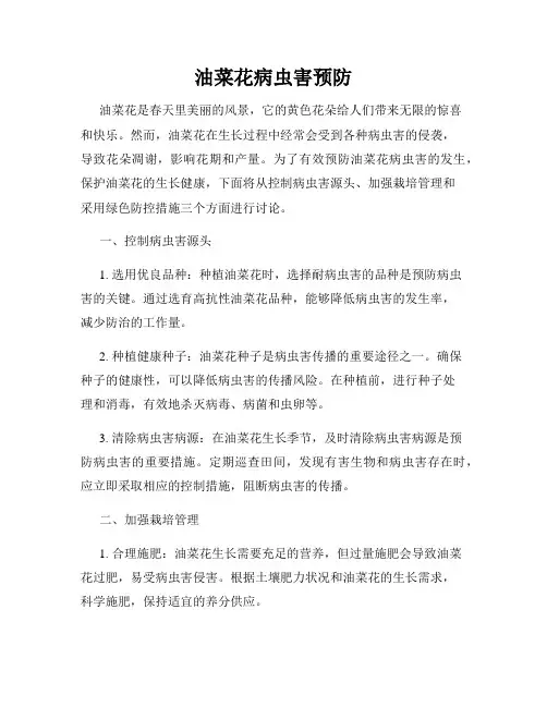 油菜花病虫害预防
